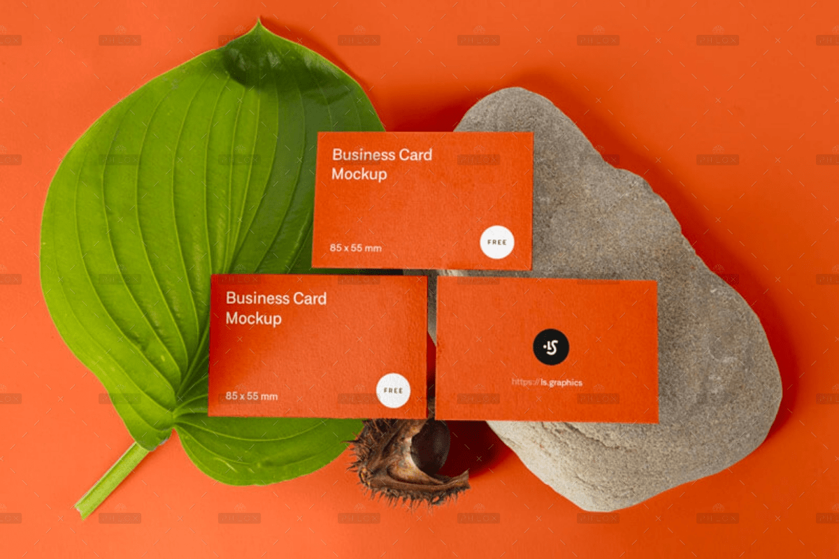 Card mockup